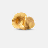 Anillo Fiba